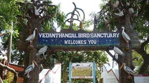 Vedanthangal Bird Sanctuary